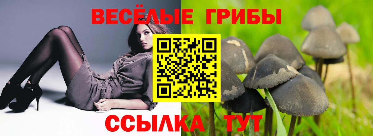 Галлюциногенные грибы GOLDEN TEACHER Протвино
