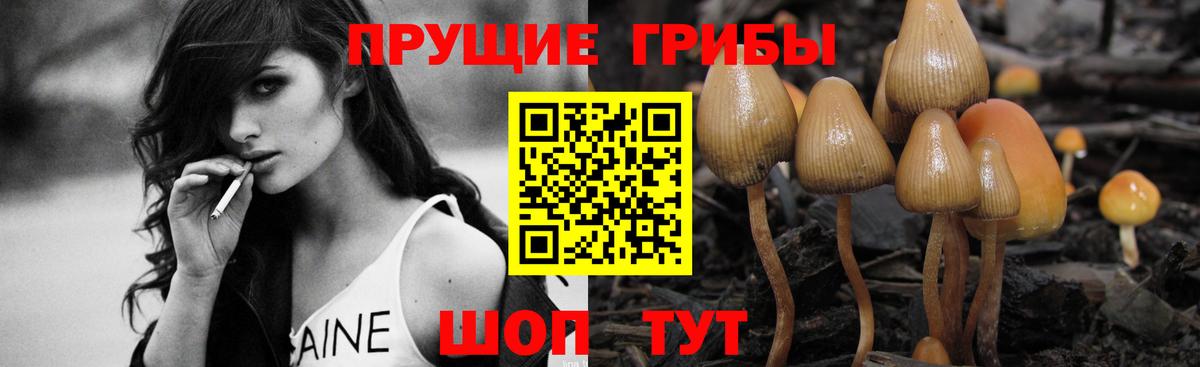 Галлюциногенные грибы ЛСД  Вход с VPN  Протвино  наркотики  Галлюциногенные грибы Magic Shrooms 